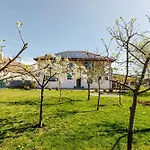Sacalaz Πανσιόν Τιμισοάρα