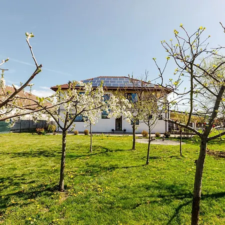 Gasthaus Sacalaz Pensión Timisoara