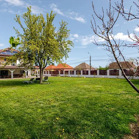 Sacalaz Pensionat 3*