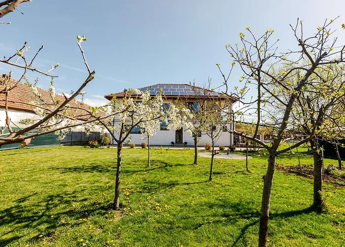 Sacalaz Pensionat Timişoara