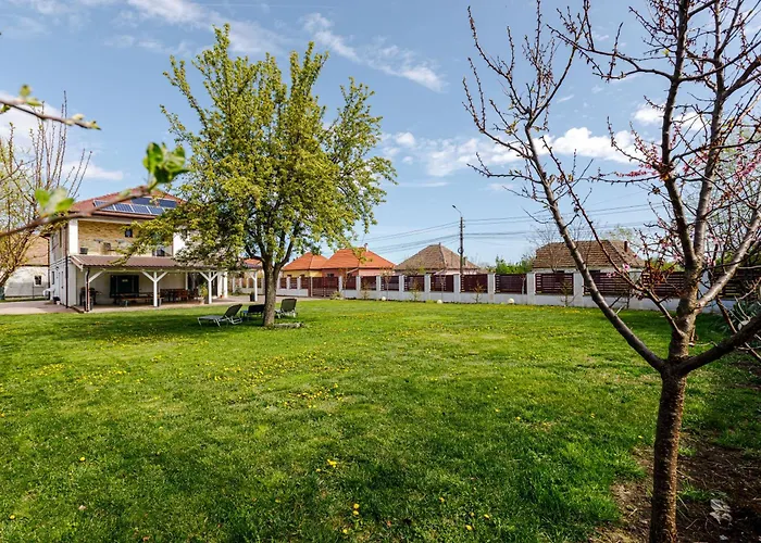 Sacalaz Pensionat 3*